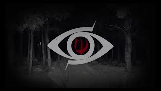 PROLEPSIS  Near the Abyss Official video lyric [upl. by Kung]