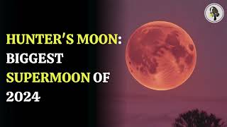 Hunters Moon Biggest Supermoon of 2024  WION Podcast [upl. by Aracal]