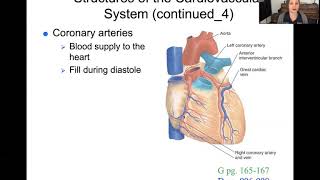 Perfusion Part 1  108 Fundamentals of Nursing II [upl. by Mudenihc]