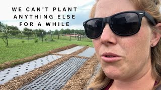 Starting a FLOWER FARM from SCRATCH pt 3  Putting a pause on planting [upl. by Dilly]