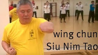 Siu Nim Tao im Snake Crane wing chun mit Sifu Wayne Yung [upl. by Vieva]