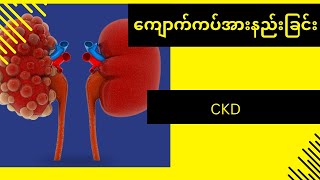 ကျောက်ကပ်အားနည်းခြင်း၊ CKD အကြောင်းသိကောင်းစရာ [upl. by Baptist]