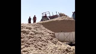 First time Sugarcane Bagasse Loding in Heavy Truck  Eipc technology [upl. by Ellicott471]