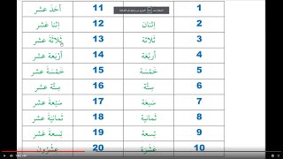 Arabic numbers  How to say Arabic numbers  Arapça sayılar Rakamlar [upl. by Ehrsam]