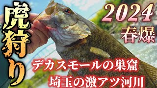 【バス釣り】釣れば40アップ確定⁈デカスモールが釣れる激アツ河川を大公開。 [upl. by Meekah]