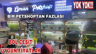 LİMAN PETSHOP FİYATLARIAKVARYUM BALIK FİYATLARICİKLET FİYATLARIJAPON BALIĞI FİYATLARIKANARYALAR [upl. by Keefe]