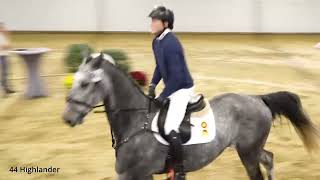 Präsentation 191024  KN 44 Highlander v Hickstead White  Cassilano [upl. by Alegnaed157]