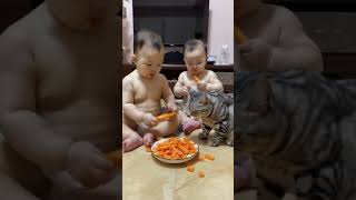 Babies and cats eat carrots together [upl. by Nohsed]