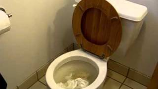 PlungeMAX  No Mess Toilet Plunger  Maximum Performance Test  Severe Clog [upl. by Ok420]