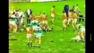 Famous Laois Hurling Brawl [upl. by Calmas]