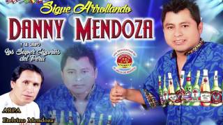 DANNY MENDOZA♫ DEJAME UN BESOSIENTO EN EL ALMA LA VIDA ES UNA ILUSIONMI MALA CABEZA™✔ [upl. by Ydrah]