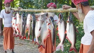 Pangas Fish Bengali Curry Recipe Cooking By Grandpa  Delicious Food For UnfortunateSpecial People [upl. by Robbyn]