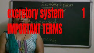 Excretory system class 10 ICSE CBSE Nitrogenous waste to excreted out from body [upl. by Noeruat20]