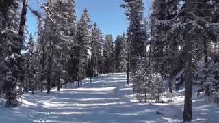 Cross country skiing  Engadin St Moritz Pontresina Samedan [upl. by Durno]