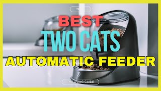 🔥 Best Automatic Cat Feeder for Two Cats in 2024 ☑️ TOP 5 ☑️ [upl. by Nerha328]