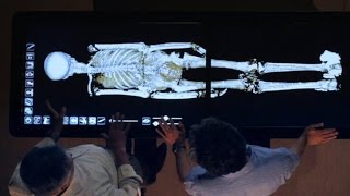 Revealed How King Tut Died [upl. by Mickelson]