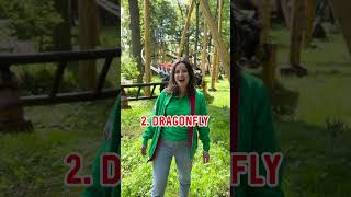 WELKE DUINRELLACHTBAAN 🎢 Kies jij Falcon Dragonfly of de 🐸🎢 shorts [upl. by Anassor595]