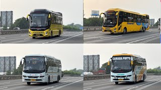 Volvo arriving from Mumbai towards their destination at evening 🔥🔥 [upl. by Am]