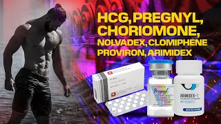 HCGPregnylChoriomone amp Nolvadex amp Clomiphene amp Proviron amp Arimidex Kullanımı Nasıl Olur [upl. by Euf769]