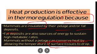 Temperature Regulation in Mammals  Chap 22  zoology [upl. by Westberg]