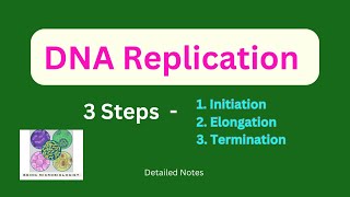 DNA ReplicationInitiationElongationTerminationProkaryotesEukaryotesSemiconservativeTelomerase [upl. by Monia]