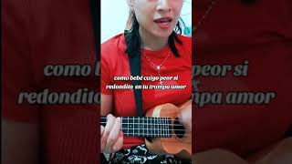 Ed Maverick  Fuentes de Ortiz  Cover en Ukulele [upl. by Close]