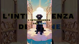 LIntelligenza Del Cane 🐕 motivazione lezionedivita saggezza [upl. by Berry]