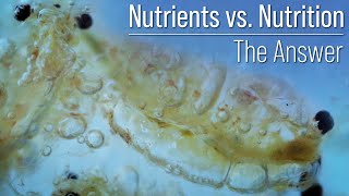 Nutrients vs Nutrition A Distinction That Changes the Trajectory Your Reef Tank and Corals Health [upl. by Airolg]