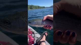 Paddle board fishing is the best fishing fish utahoutdoors utahfishing utah [upl. by Croner]