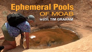 Ephemeral Pools of Moab  The Nature amp Creatures of Water Potholes [upl. by Eelyram]