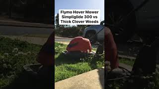 Flymo Hover Mower vs Thick Clover Weeds lawn mower flymo weeds httpsamznto3rcNcwL [upl. by Yelkcub794]