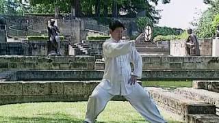 Tai Chi Lessons with Master Jian Liujun [upl. by Ecirbaf]