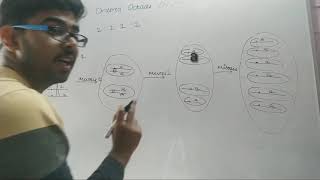 Ordered tetrad analysis in Neurospora Part2  Deep biology CSIR net life science [upl. by Adnohsat]