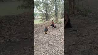 jungle monkey attak chat VFX funny my Village jungle shorts viral animals wildlife [upl. by Burnside]