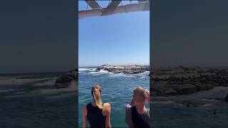 What better way to spend the day than sailing on Hout Bay travel travelvlog studyabroad capetown [upl. by Led]