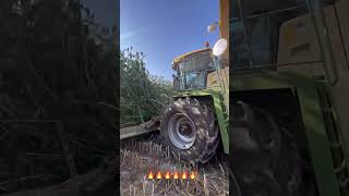 🔥 Powerful Forage Harvester in Action 🚜🌾 [upl. by Noemi446]