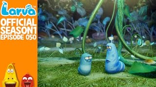 Official Larvata 1  Larva Season 1 Episode 50 [upl. by Attej]