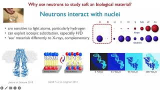 Complementarity of neutrons and synchrotron radiation to study cell membranes G FRAGNETO ESS ERIC [upl. by Sirehc]