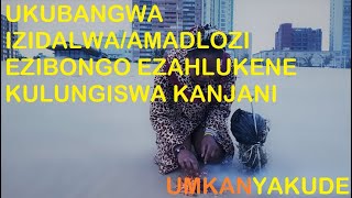 Ukubangwa IzidalwaAmadlozi Ebongo Ezehlukene Kulungiswa Kanjani0780046059 [upl. by Inait]