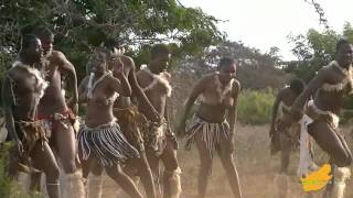 ZuidAfrika Zulu Dans Hluhluwe 13 [upl. by Gensmer]