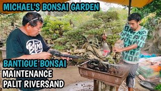 BANTIGUE BONSAI MAINTENANCEPALIT RIVERSANDMICHAELS BONSAI GARDENUP DILIMAN BONSAI SOCIETY [upl. by Eolhc46]