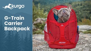 The GTrain Dog Carrier Backpack  Adventureready dog backpack [upl. by Verbenia656]