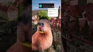 Capybara Praha Republic Czech 🇨🇿 [upl. by Herv]