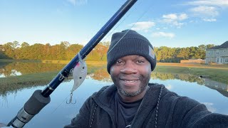 Bank Fishing this AM at the Backyard Pond [upl. by Alla]