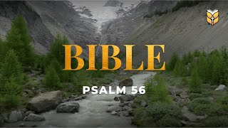 Psalm 56  Holy Bible NIV biblevision [upl. by Olegnalehcim]