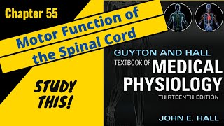 Guyton and Hall Medical Physiology Chapter 55 REVIEW Spinal Cord Motor Function  Study This [upl. by Truda]