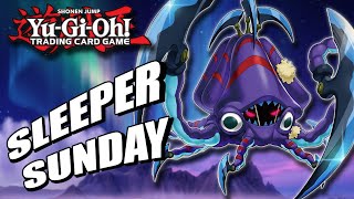 Fusion SUPREMACY YuGiOh Sleeper Sunday  Fluffal  InDepth Deck Profile  Replays [upl. by Brunhild]