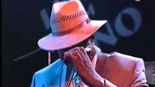 Magic Slim amp The Teardrops quotGotta Love Somebodyquot 1995 [upl. by Norabel]