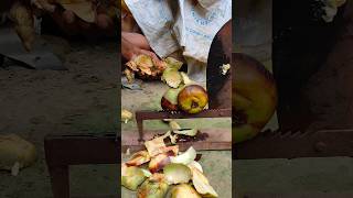 Palm cutting skills at village amazingskil fruit satisfying beautifulskills shorts [upl. by Arlon]