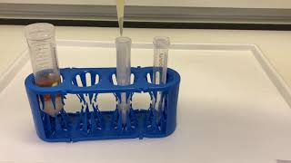 Quick protocols QuEChERS extraction with Thermo Scientific HyperSep Dispersive SPE Cleanup Tubes [upl. by Nitaj576]